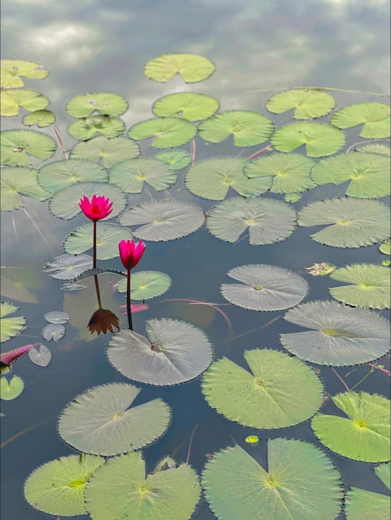 Halise Home And Retreat Ninh Binh Esterno foto