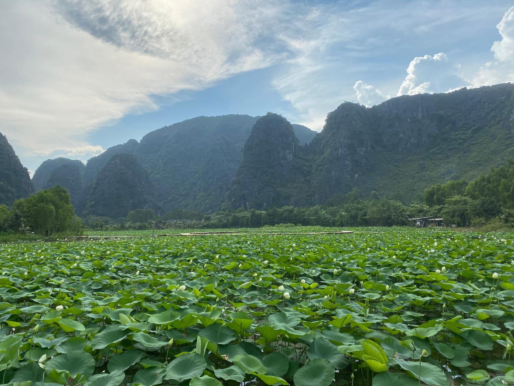 Halise Home And Retreat Ninh Binh Esterno foto